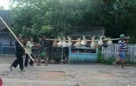 warga desa melaksanakan tradisi Buku Taun desa / ngarot desa sukakersa dusun cadasngampar