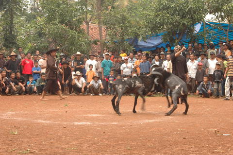 Open original Objek Digital