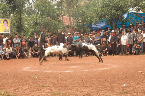 Open original Objek Digital